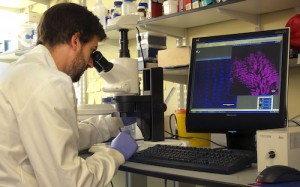 Richard Wallbank at a microscope